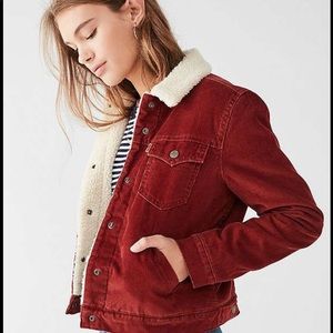 Levis corduroy Sherpa lined jacket